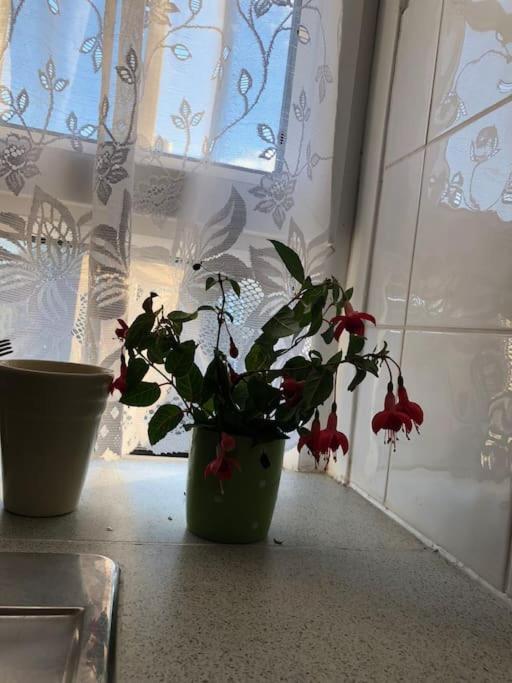 לונדון Carpe Diem Rooms Flat Near Zone 1 מראה חיצוני תמונה